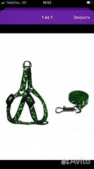 Шлейка и поводок для собачки