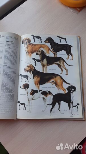 Ваша собака книга