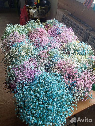 Гипсофила букетиком