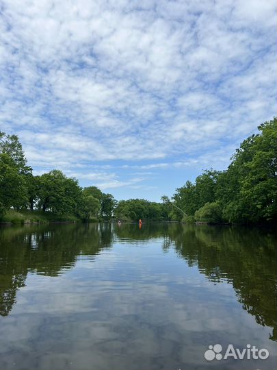 Прогулка сплав на сапборде