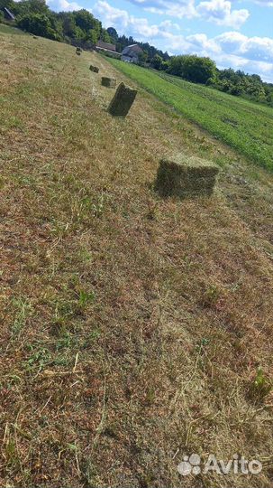 Сено солома в тюках,укос 2023г