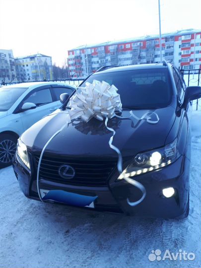 Банты на авто