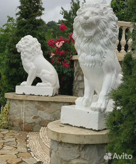 Королевский Лев Сидячий