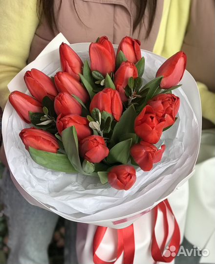 Цветы тюльпаны