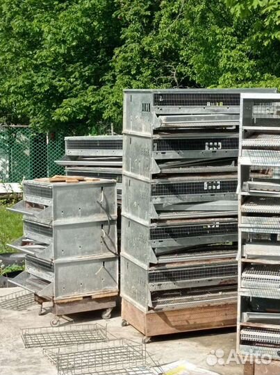 Клетки для перепелов бу