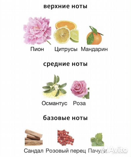 Flora by Gucci 10 мл