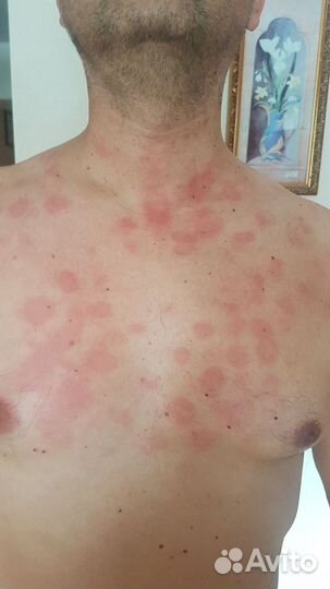 Минимат жилетка Нуга Бест