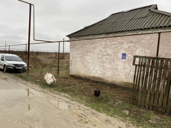 Дом 33,4 м² на участке 54 сот.