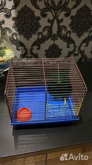 Клетка для грызунов