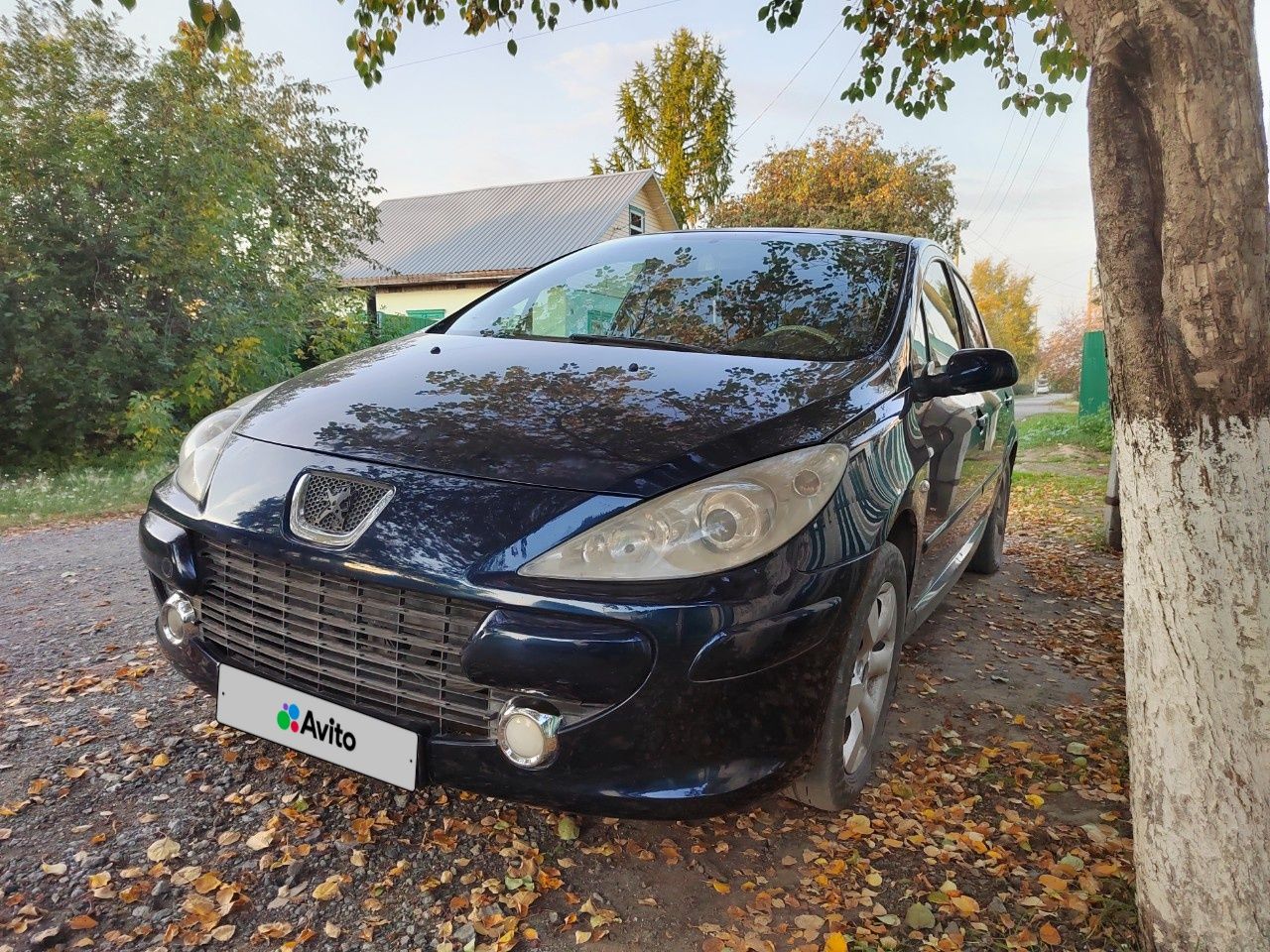 Peugeot 307: фото владельца