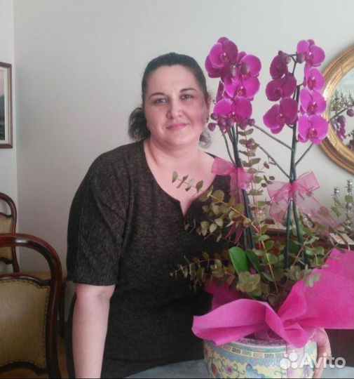 Сиделка за пожилым