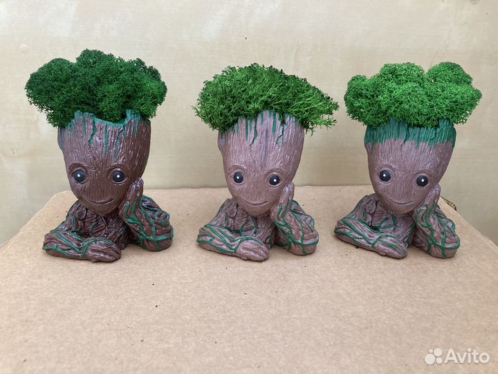 Кашпо Грут с мхом ягель