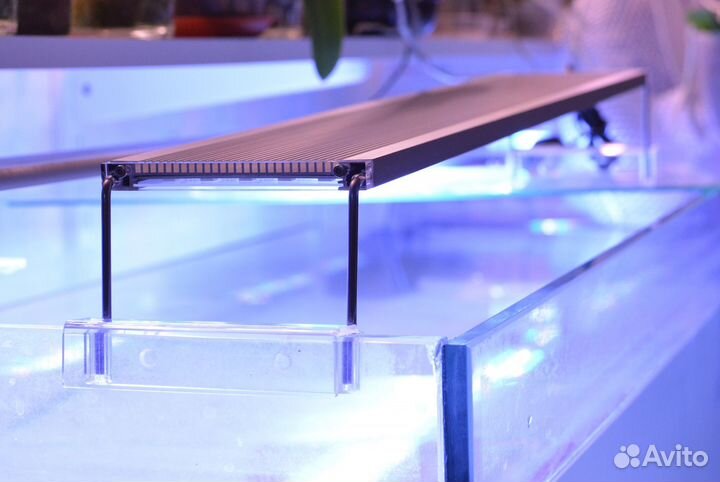 Фильтр лампы грелки и компрессор для аквариума