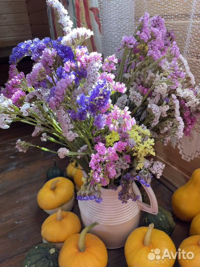 Тыква мини декоративная сухоцветы