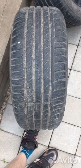 Nokian Tyres Nordman SX 205/55 R16 91H