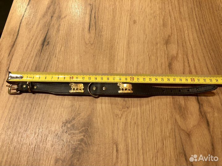 Ошейники для собак