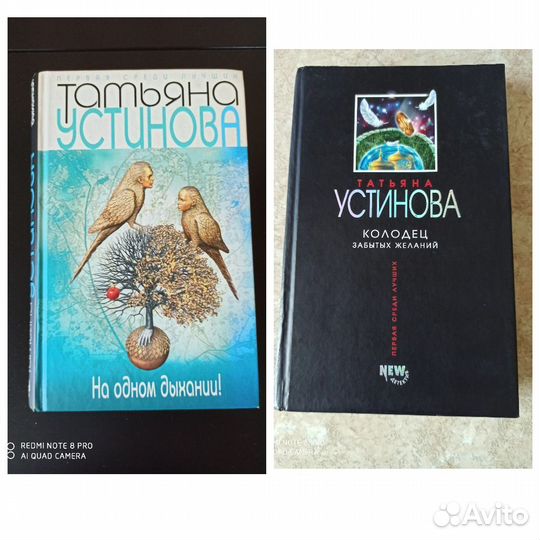 Книги. Литвиновы, Полякова, Устинова, Акунин