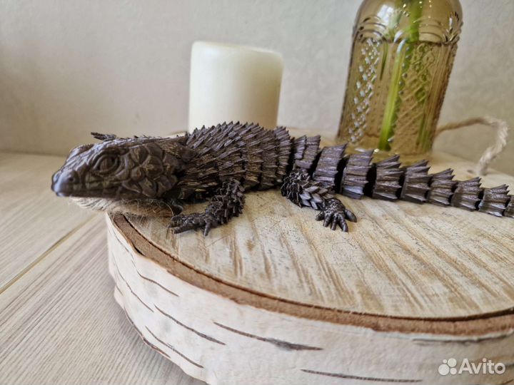 Ящерица - броненосец. Ящерица - дракон