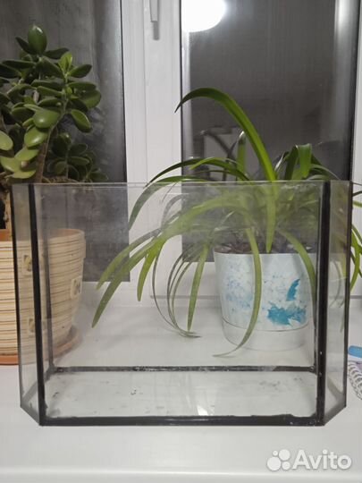 Аквариум 15л