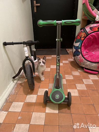 Самокат детский трехколесный globber