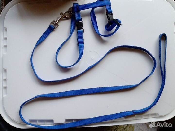 Поводок, сбруя и гогтерезка