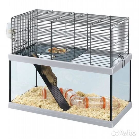 Песчанки разных окрасов и возрастов можно с клетк