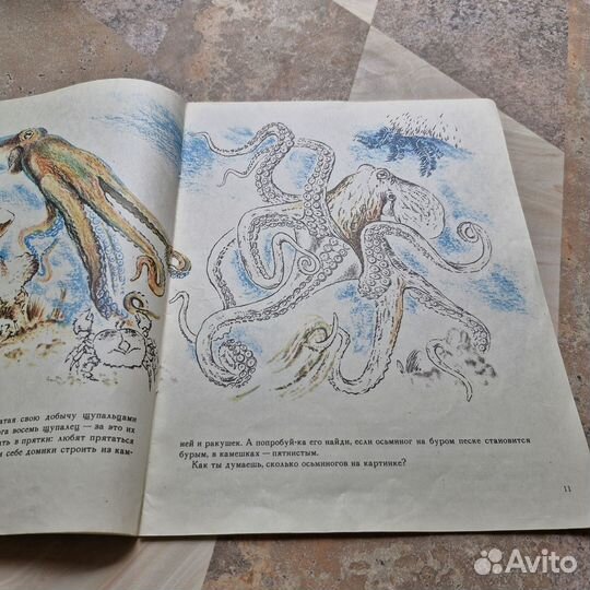 Коралловый риф. Альбом для раскрашивания. 1988 г