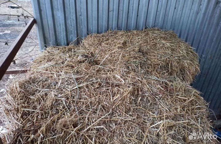 Сено солома в тюках
