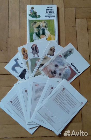 Открытки,календарики собаки СССР