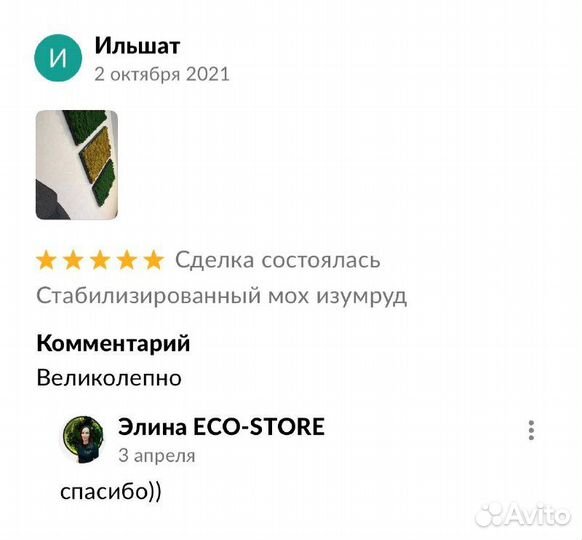 Фитопанно из мха в гостиную