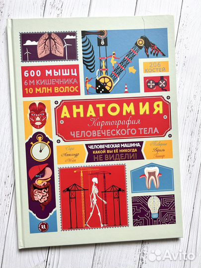 Анатомия. Картография человеческого тела