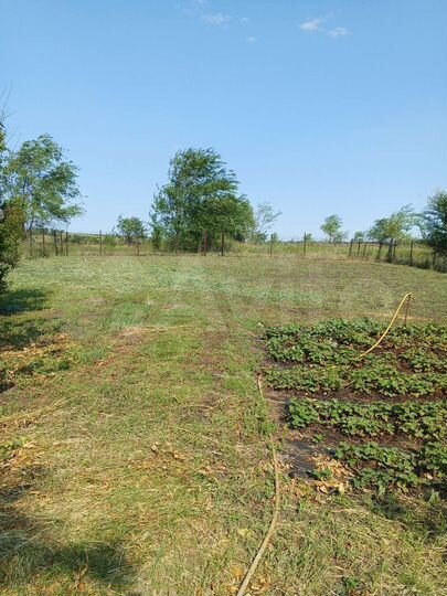 Участок 6 сот. (СНТ, ДНП)