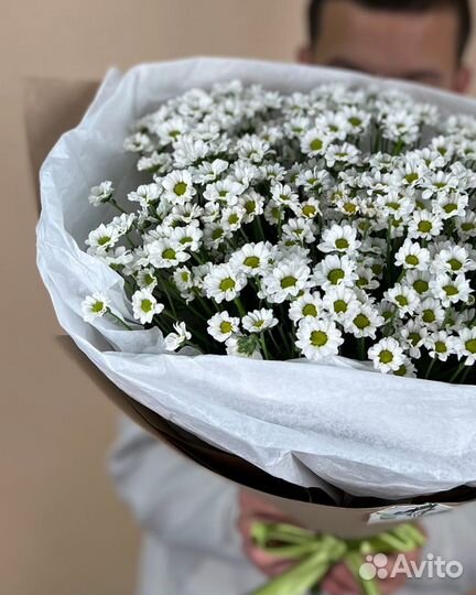 Красивый Букет из Ромашек. Цветы