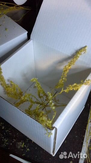 Картонные коробки