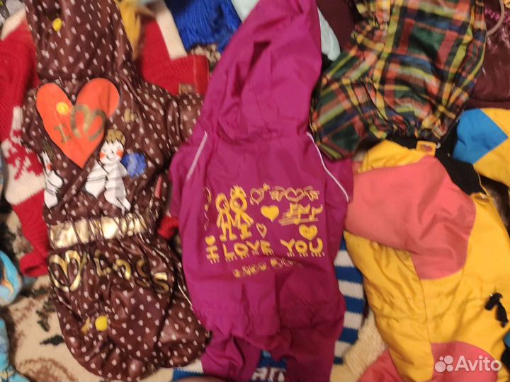 Одежда для маленьких собак бу