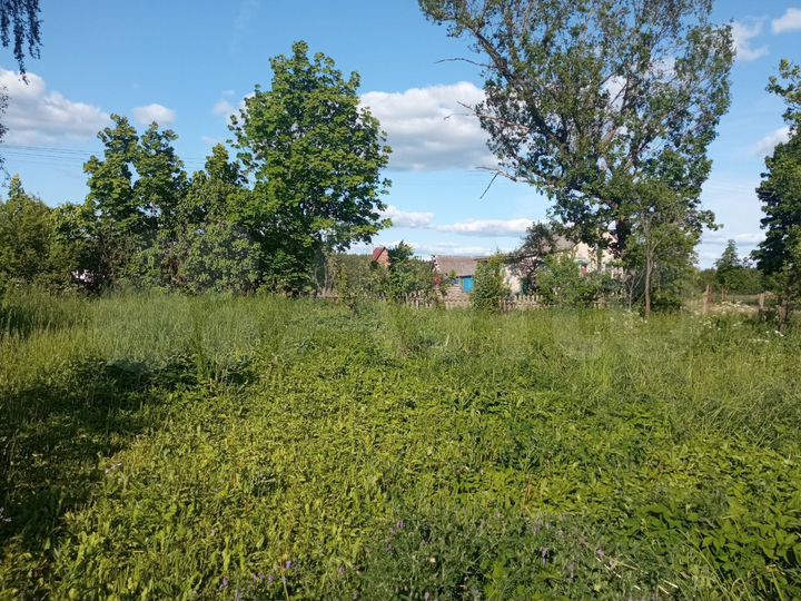 Участок 25 сот. (ИЖС)