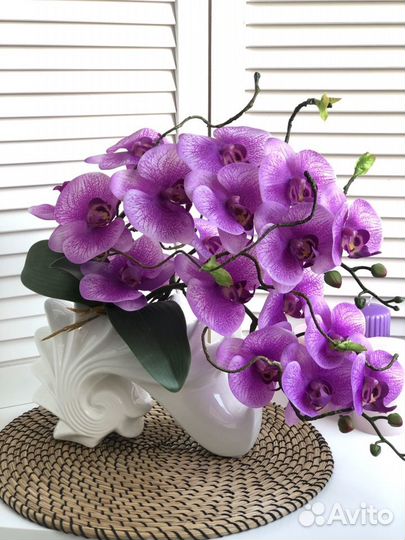 Декоративная орхидея