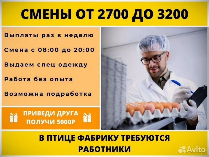 Фасовщик на птицефабрику