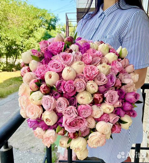 Розы Цветы Букеты Доставка 51 роза 101 роза