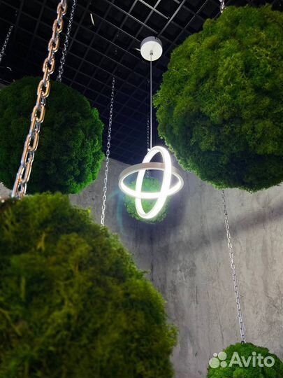 Шары из мха