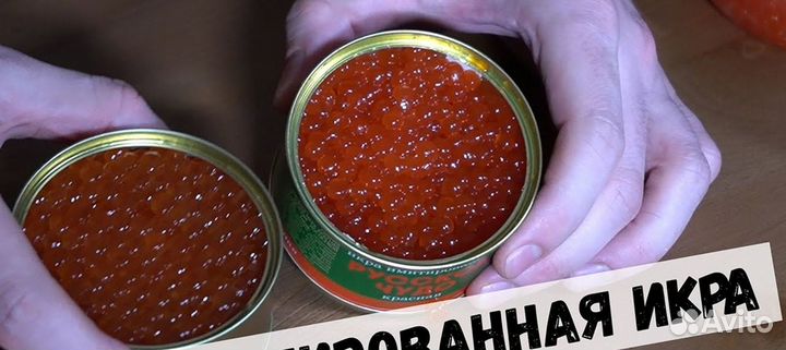 Красная икра оптом