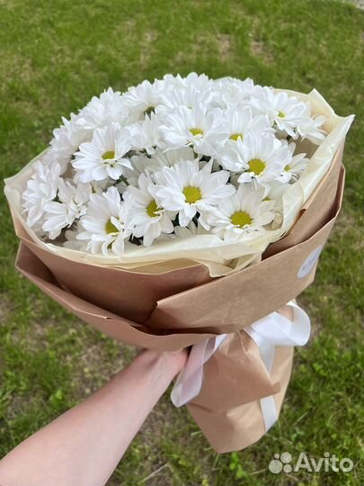 Букет ромашек Цветы Доставка