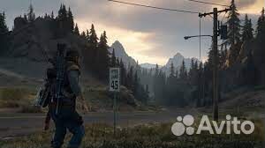 DayZ PS4 RU