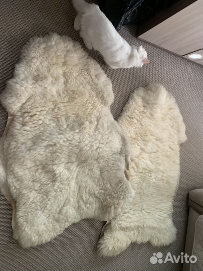 Баранья шкура на автокресло