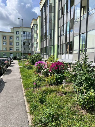 Квартира-студия, 27 м², 2/4 эт.