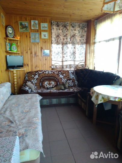 Зоогостиница (передержка) питомца Тюмень ммс