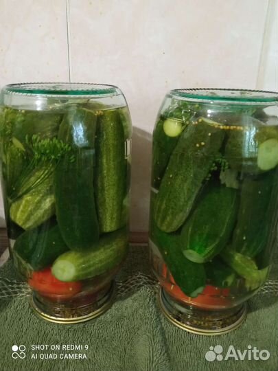 Огурцы на зиму