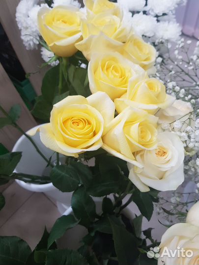 Цветы розы с доставкой