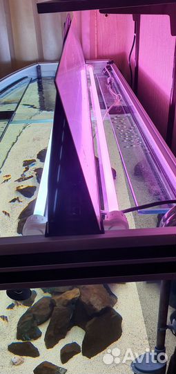 Аквариумный комплекс 