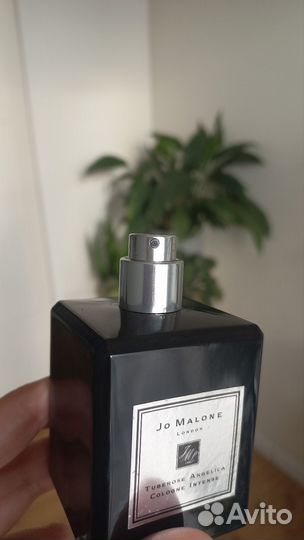 Jo malone Touberose Angelica 50 ml